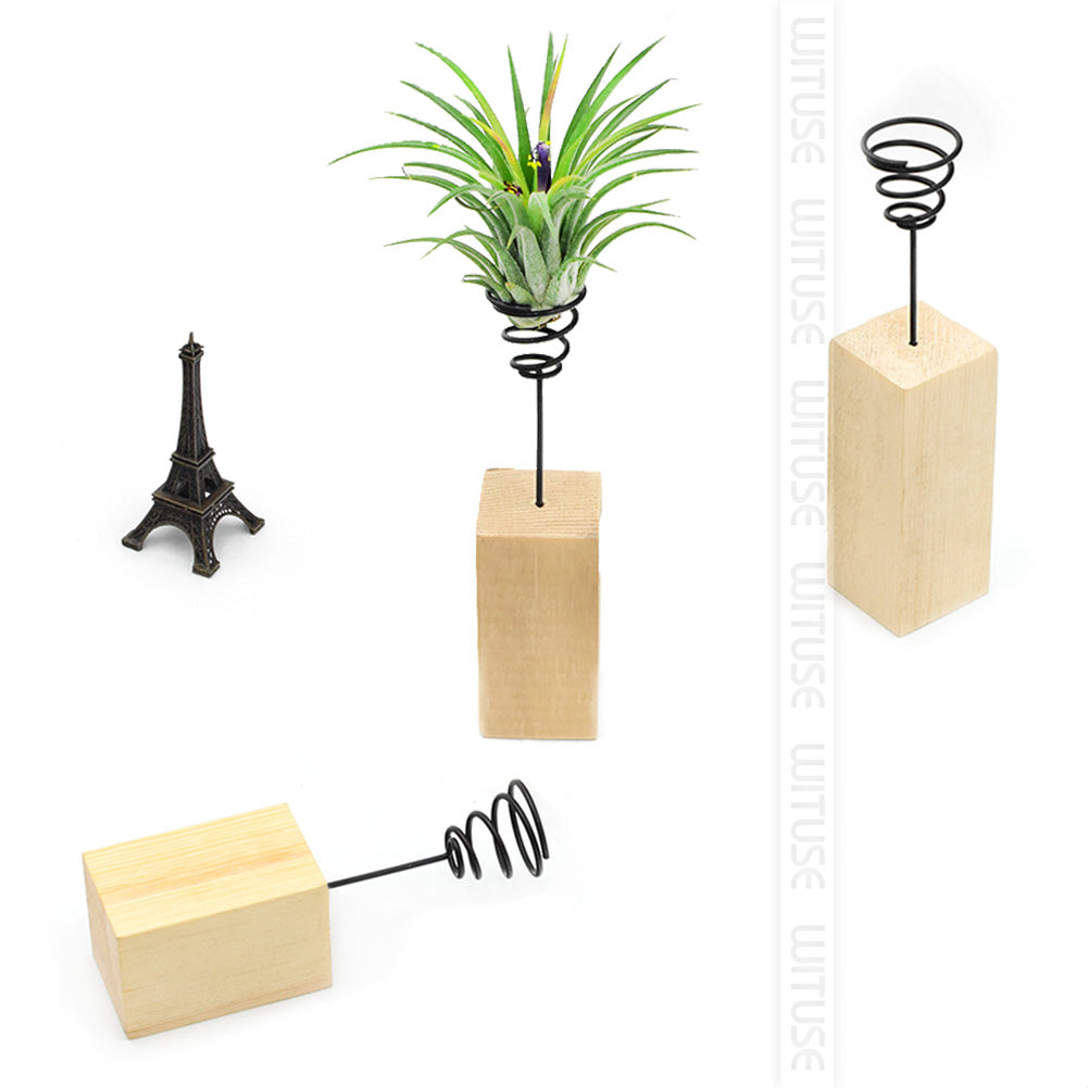 Wooden Metal Air Plant Holder - stilyo