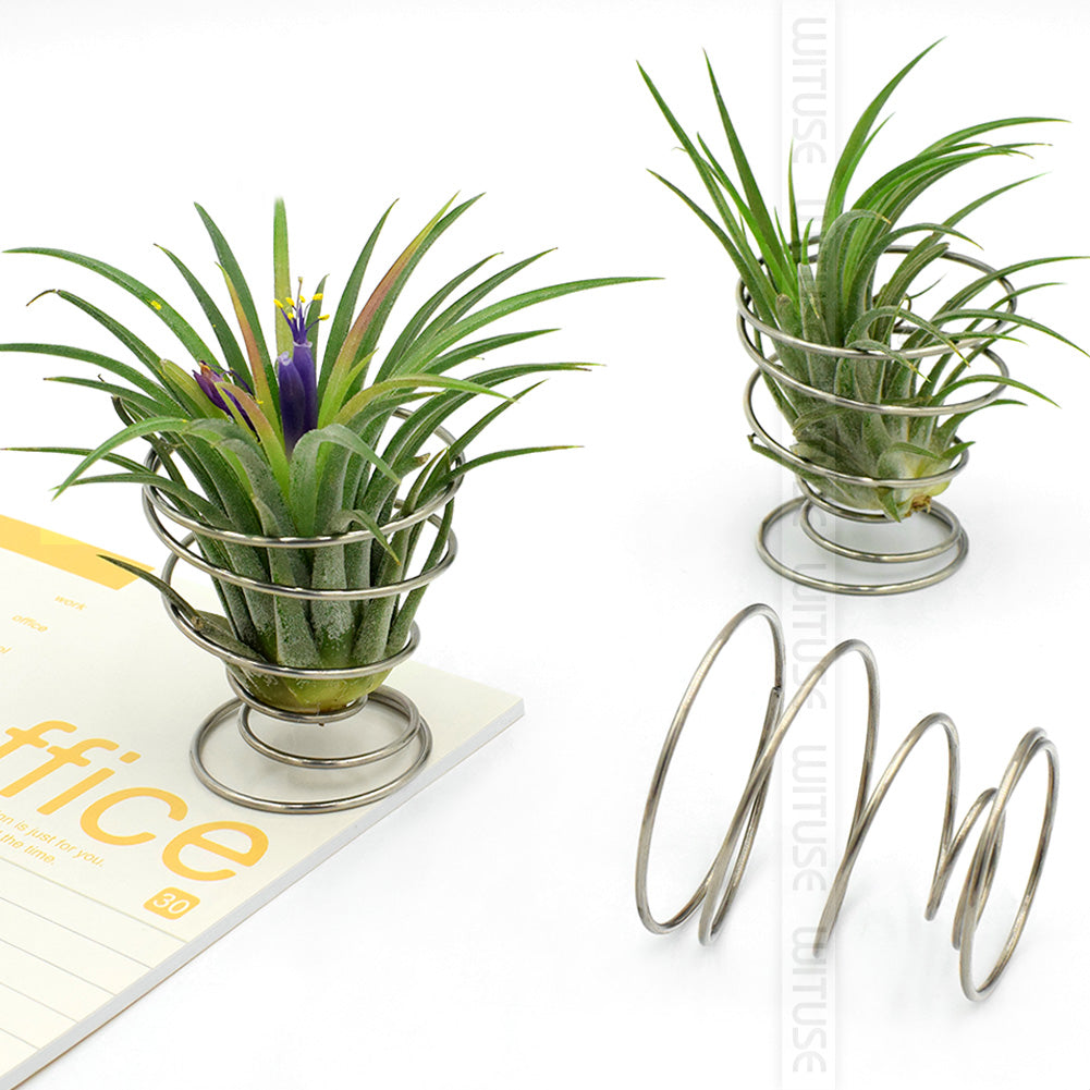 Wooden Metal Air Plant Holder - stilyo