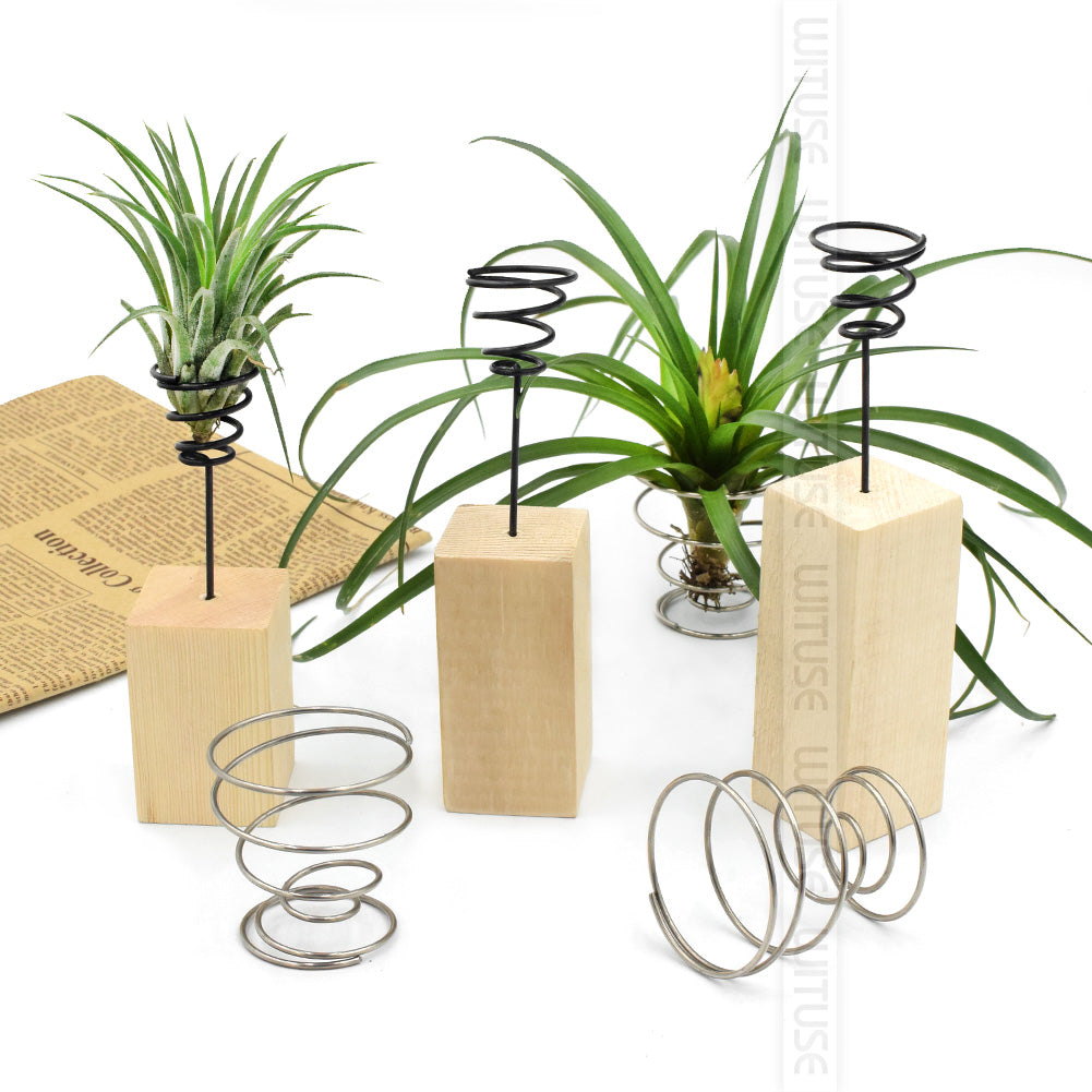 Wooden Metal Air Plant Holder - stilyo