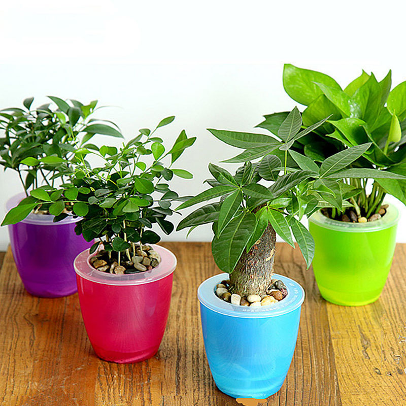 Self Watering Planters - stilyo