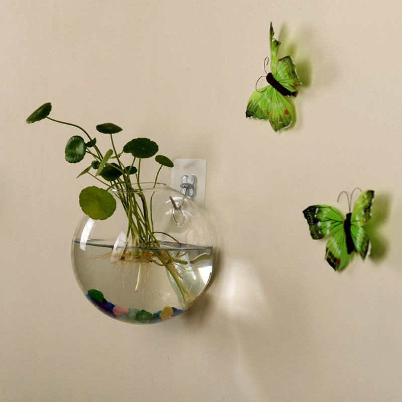 8CM Semicircular Glass Vase Wall Hanging Hydroponic Terrarium - stilyo