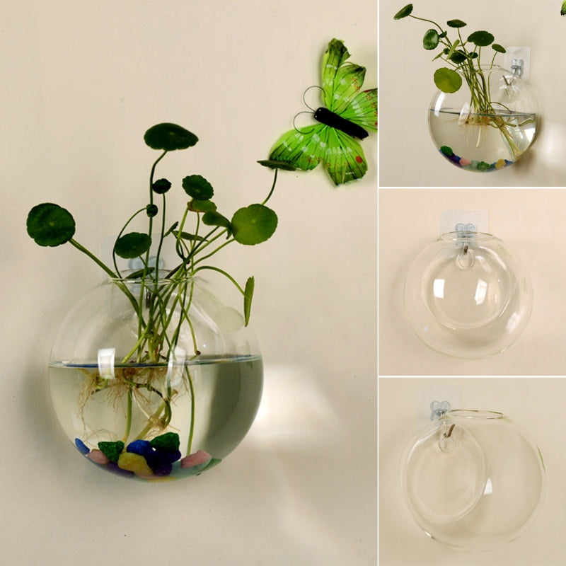 8CM Semicircular Glass Vase Wall Hanging Hydroponic Terrarium - stilyo