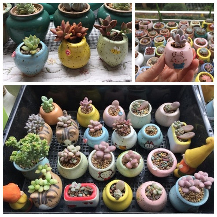 Mini Geometric Succulent Ceramics Planters - stilyo