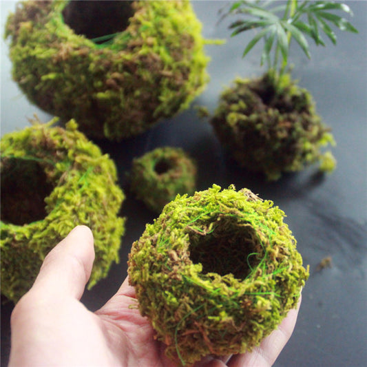 6/9/12CM Green Moss Ball Flower Pot - stilyo