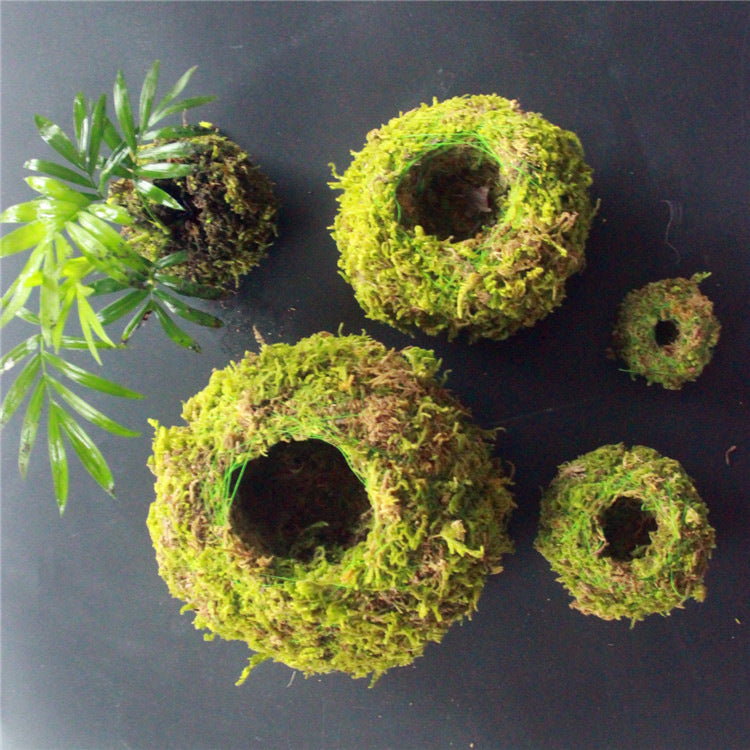 6/9/12CM Green Moss Ball Flower Pot - stilyo