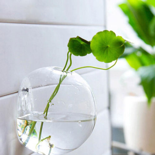 Wall Hanged Transparent Round Pot / Aquarium - stilyo