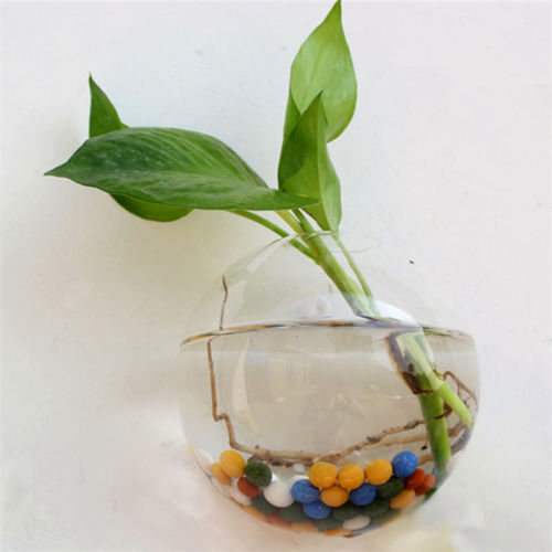 Wall Hanged Transparent Round Pot / Aquarium - stilyo