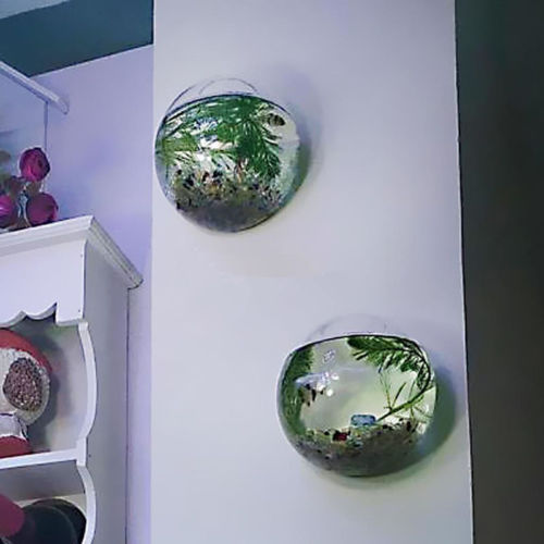 Wall Hanged Transparent Round Pot / Aquarium - stilyo