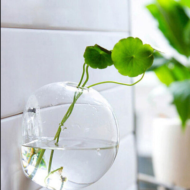 floating plant pot for aquarium Wall Hanged Transparent Round Pot / Aquarium – Stilyo Store