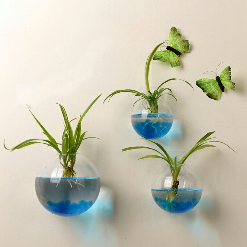 Wall Hanged Transparent Round Pot / Aquarium - stilyo