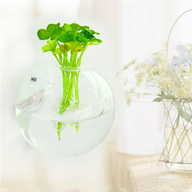 Wall Hanged Transparent Round Pot / Aquarium - stilyo