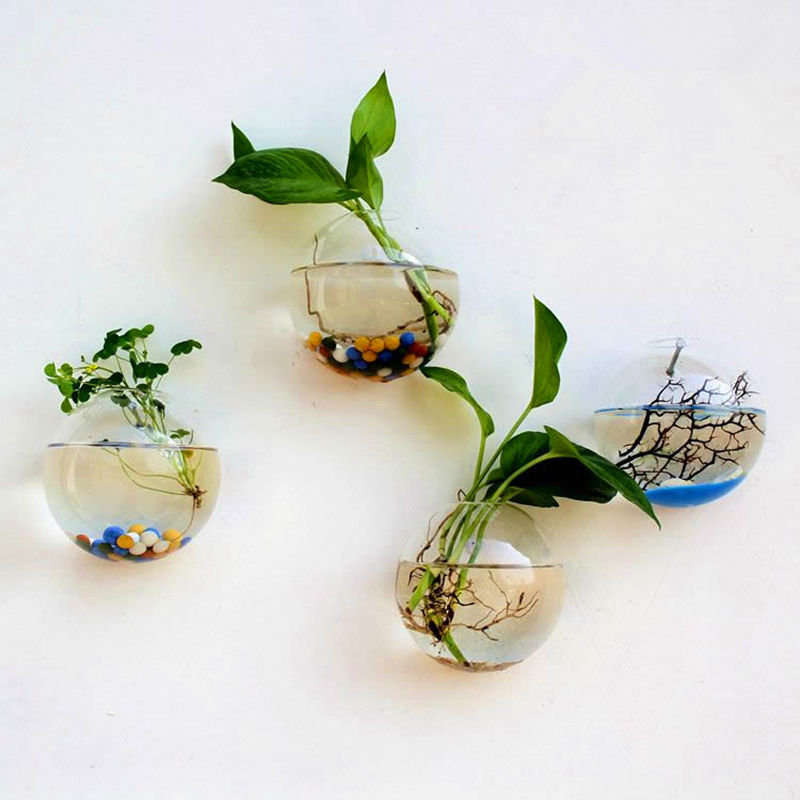 Wall Hanged Transparent Round Pot / Aquarium - stilyo