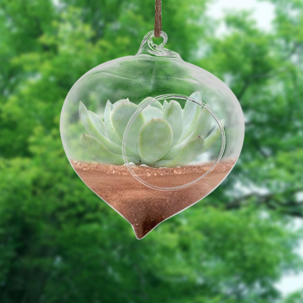 Wall Hanging Glass Plant Pot - stilyo